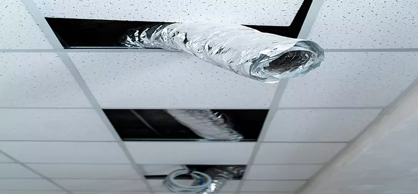 Our Air Duct Pet Hair Removal Services in Fair Oaks, VA