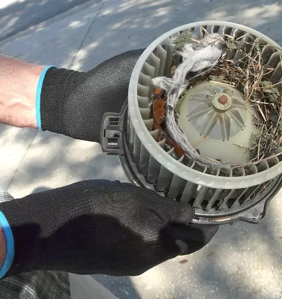 About Air Duct Mice Removal in Fair Oaks, VA